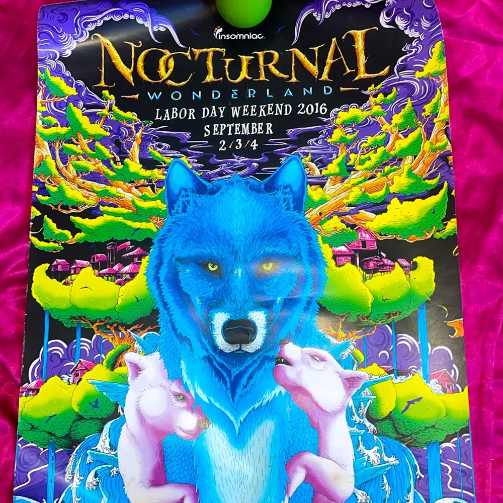 RARE Nocturnal Wonderland 20th Anniversary Poster 💜